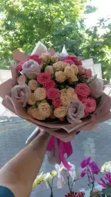 گل بالرینا