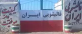 قالیشویی ایران تربت حیدریه