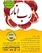لبنیاتی و ارگانیک سرای نرگس و نیکان