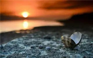 تور کیش با پرواز کیش ایر اقامت در هتل پانیذ 3 ستاره