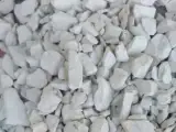 فروش خاک گربه