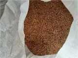 فروش پودر پوست گردو