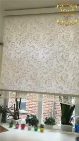 پرده زبرا و شب و روز
