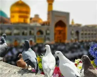 تور مشهد زمینی با قطار 6 تخته