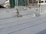 شرکت ایزوگام قیرگونی