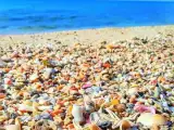 تور چالوس زمینی با اتوبوس