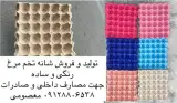 فروش شانه تخم مرغ