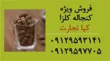 فروش کنجاله کلزا