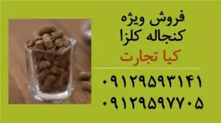 فروش کنجاله کلزا