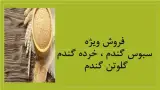 فروش سبوس گندم ، خرده گندم و گلوتن گندم