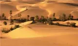 تور کویر مصر زمینی با اتوبوس