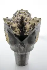 سرمته راکبیت