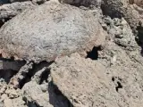 خرید شلاکه فولادی و سرباره