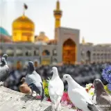 تور مشهد زمینی با قطار 4 تخته اقامت در هتل هتل آپارتمان شجاعی 2 ستاره