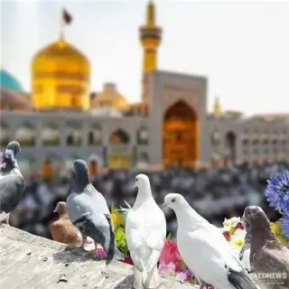 تور مشهد زمینی با قطار 4 تخته اقامت در هتل هتل آپارتمان شجاعی 2 ستاره