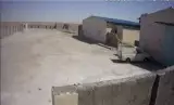 مرغداری تخمگذار فروشی