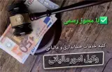وکیل (نماینده) مالیاتی: جرائم مالیاتی صفر، دستمزد پس از نتیجه!