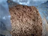 خرید و فروش تفاله جو رطوبت دار به صورت فله