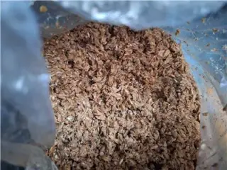 خرید و فروش تفاله جو رطوبت دار به صورت فله