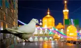 تور مشهد