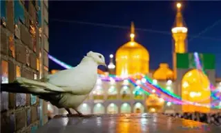 تور مشهد