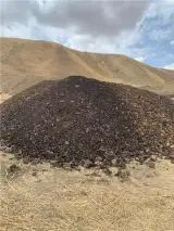 فروش لئوناردیت