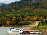 تور برنجستانک زمینی با اتوبوس