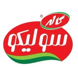 استخدام فروشنده حضوری شرکت معتبر