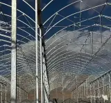 اجرا و نصب صفر تا صد گلخانه به مدیریت آقای غلامی در یزد