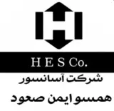شرکت آسانسور همسو ایمن صعود