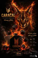 تولید و پخش عمده ذغال نارگیل و پسته ارگانیک کاراکال در مشهد