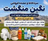 سردخانه نگین منگشت نظری در ایذه