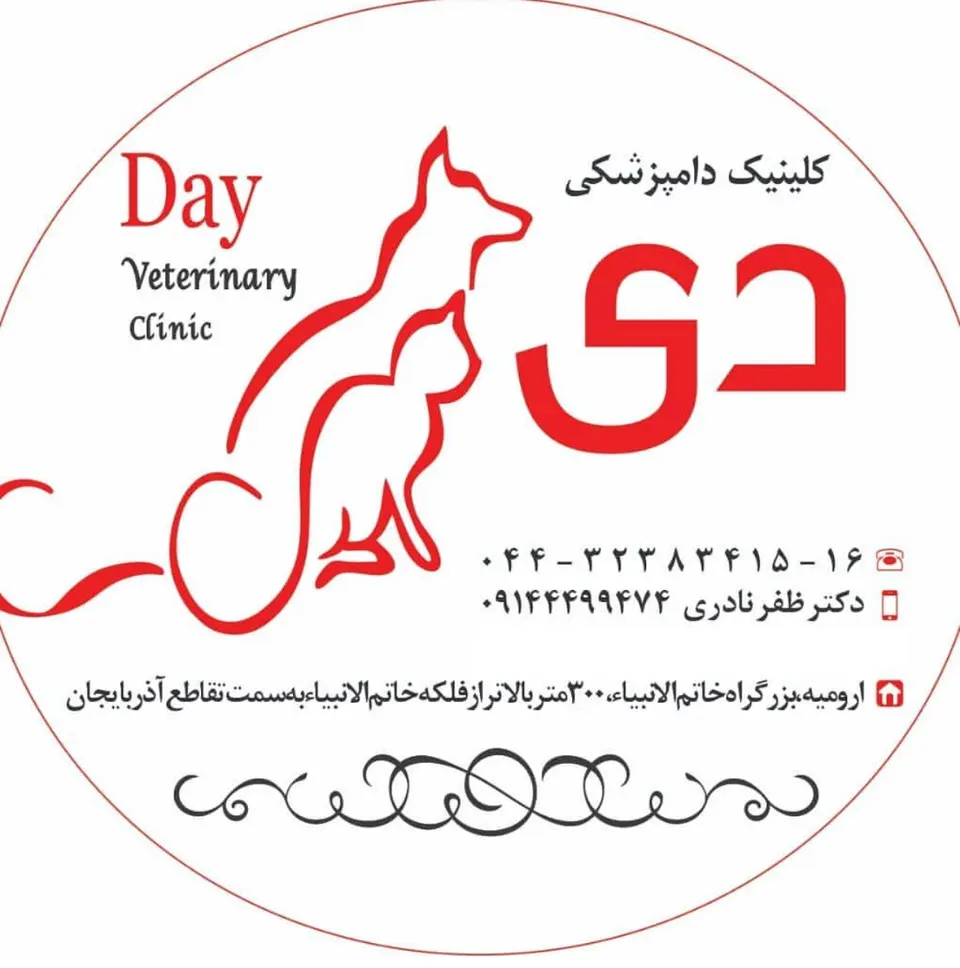 مجتمع دامپزشکی دی