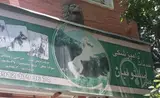 کلینیک دامپزشکی دکتر امین مستوفیان