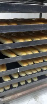 فروش خمیرمایه