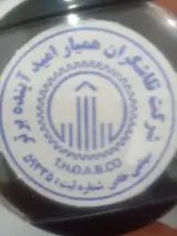 شرکت خدماتی تلاشگران همیار امید آینده