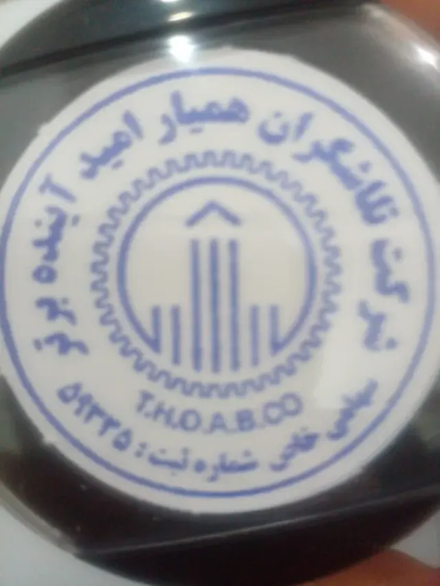 شرکت خدماتی تلاشگران همیار امید آینده