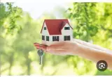 املاک آرکاد در رشت