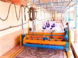 قالیشویی عرفان