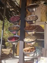 چای آتیشی گنج نامه دایی فرهاد