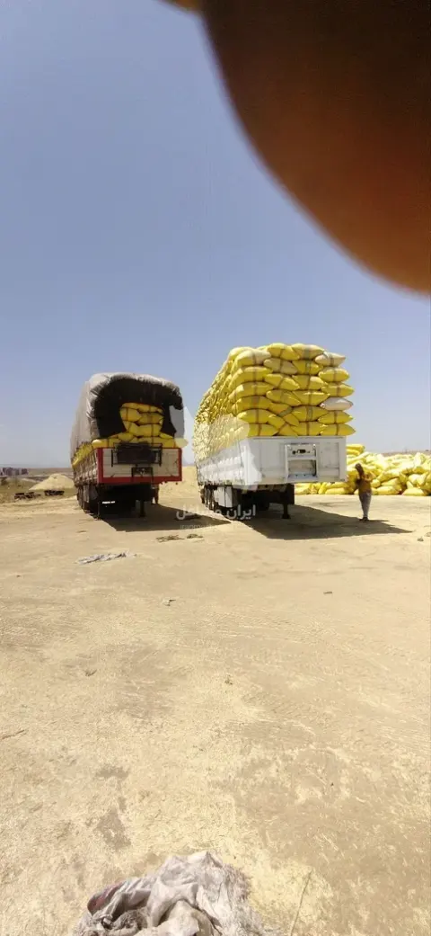 خرید و فروش خوراک دام فرجی در بوکان