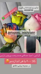 سالن زیبایی شقایق ارائه تمامی خدمات زیبا