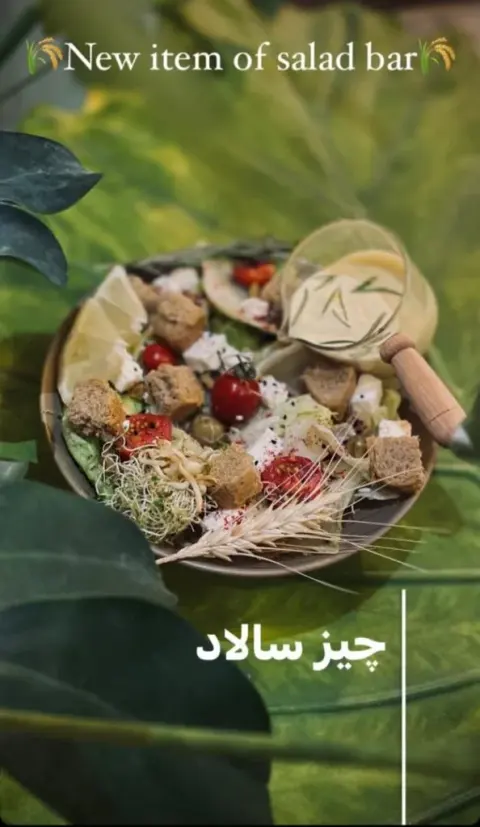 کافی شاپ گندم در بندرعباس
