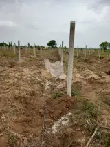 ساخت و نصب پایه و ستون بتنی باغی نوری در ابهر