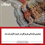پایگاه خبری پیام هرمزگان