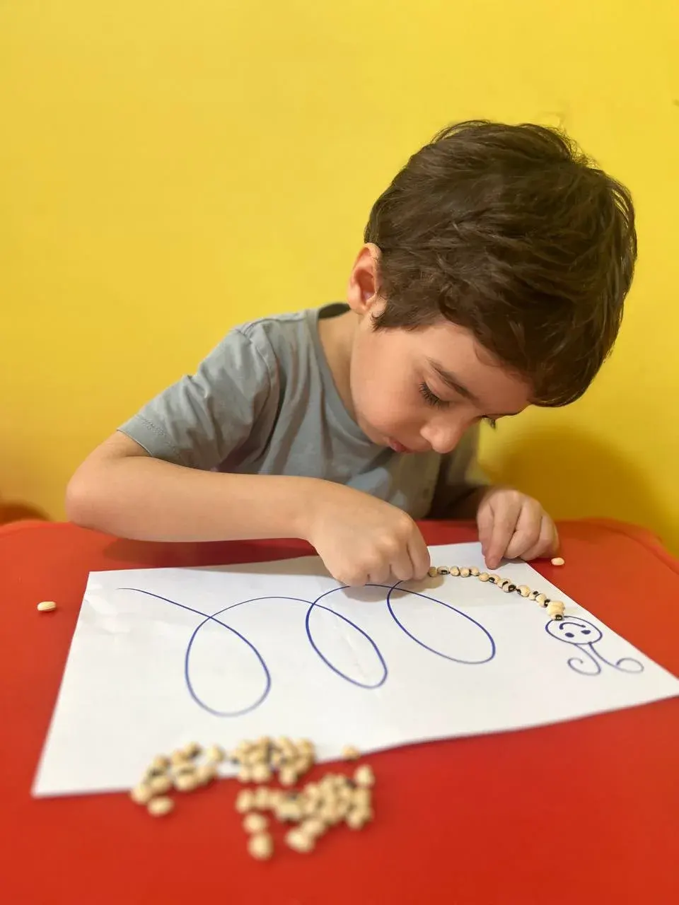 مهدکودک سرزمین پروانه ها