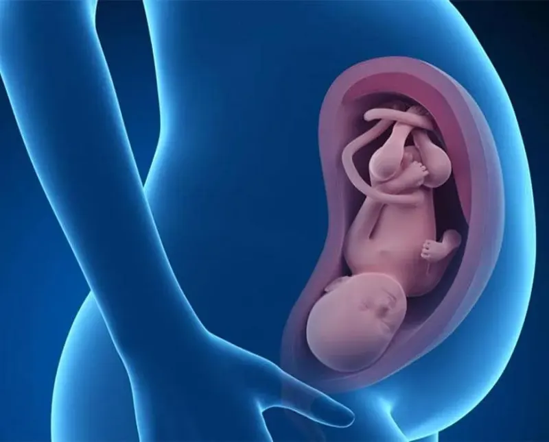 مطب متخصص مامایی دکتر پریوش احمدپور در تبریز