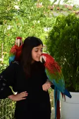 Nazaninshop فروشگاه پوشاک