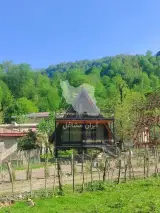 اجاره کلبه سوئیسی به مدیریت آقای کاظمی در ماسال