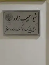شیوا حبیب زاده وکیل پایه یک دادگستری